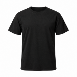 SULLEN CLOTHING HIGH AND LOW STANDARD T-SHIRT