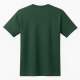 Passenger Mens Green T-shirt